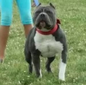 Meet your Posher, Donnie